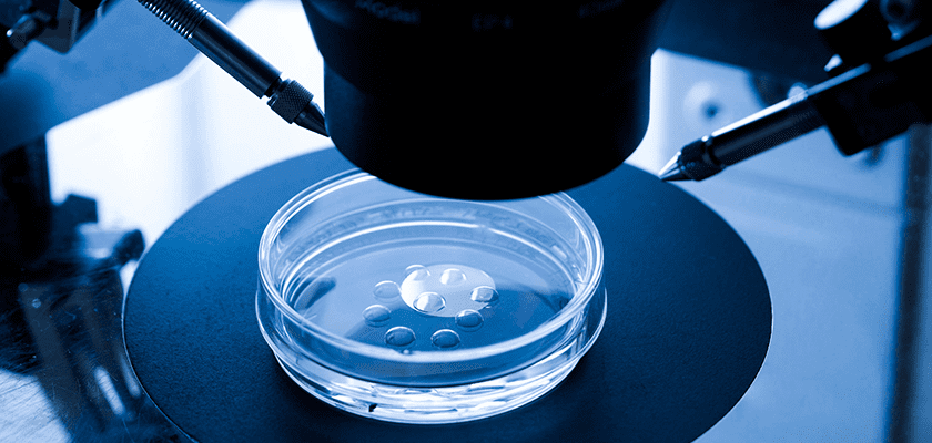 Vitro-Fertilization-Treatment